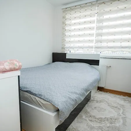 Luxury Apartment